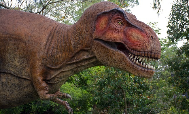 Edinburgh Zoo's Imminent Arrivals - Dinosaurs! - The Scots Magazine